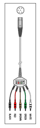 PATIENT CABLE-5 LEAD FIXED BANANA - Click Image to Close